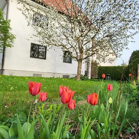 Allgaeu Retreat Apartment *
